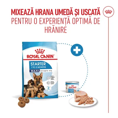Recomandare: Amestecați Royal Canin Starter Maxi hrană uscată și hrană umedă pentru o experiență optimă de hrănire. Sunt prezentate pungi de hrană uscată și conserve de hrană umedă. Recomandare: Amestecați Royal Canin Starter Maxi hrană uscată și hrană umedă pentru o experiență optimă de hrănire. Sunt prezentate pungi de hrană uscată și conserve de hrană umedă.