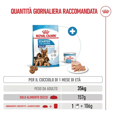 Royal Canin Maxi Starter Mother & Babydog Crocchette per cane
