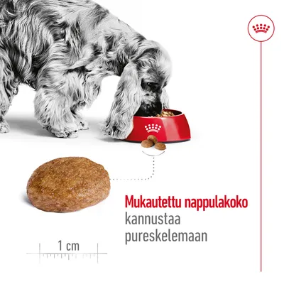 Koiranruokanappula, koko noin 1 cm. Teksti: Mukautettu nappulakoko kannustaa pureskelemaan. Kuvassa koira syö punaisesta Royal Canin -kupista.