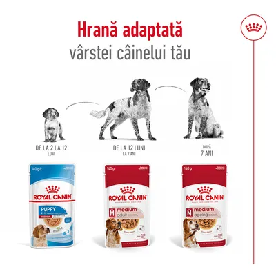 Royal Canin Puppy 140g de la 2 la 12 luni, Medium Adult 140g de la 12 luni la 7 ani, Medium Ageing 140g după 7 ani. Hrană adaptată vârstei câinelui tău.