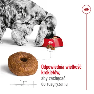 Pies jedzący z miski Royal Canin, powiększony krokiet o średnicy 1 cm. Tekst: Odpowiednia wielkość krokietów, aby zachęcać do rozgryzania.