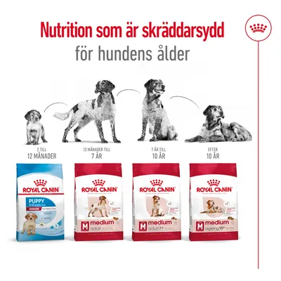 Royal Canin hundfoder för olika åldrar: Puppy 2–12 månader, Medium Adult 12 månader–7 år, Medium Adult 7+ 7–10 år, Medium Ageing 10+ efter 10 år. Text: Nutrition som är skräddarsydd för hundens ålder.