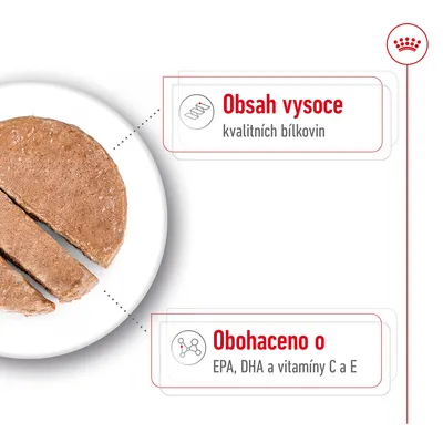 Obsah vysoce kvalitních bílkovin. Obohaceno o EPA, DHA a vitamíny C a E. Zobrazeno krmivo na talíři.