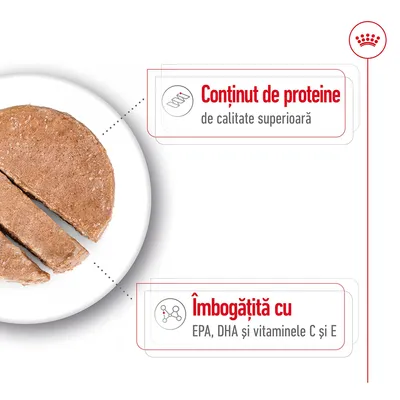 Conținut de proteine de calitate superioară. Îmbogățită cu EPA, DHA și vitaminele C și E.