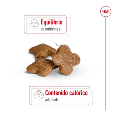 Croquetas con texto: Equilibrio de nutrientes. Contenido calórico adaptado.