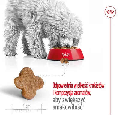 Pies jedzący z czerwonej miski Royal Canin, powiększony krokiet o długości 1 cm. Tekst: Odpowiednia wielkość krokietów i kompozycja aromatów, aby zwiększyć smakowitość.