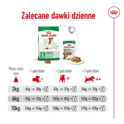Zalecane dawki dzienne Royal Canin Mini Adult dla psów 2 kg, 6 kg i 10 kg; tabela z gramaturą karmy suchej i mokrej w zależności od aktywności psa: <1, <2 lub >3 godz./dzień.