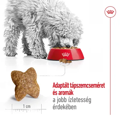 Kutya eszik piros tálból, mellette táp szemcse 1 cm méretjelzéssel. Szöveg: Adaptált tápszemséméret és aromák a jobb ízletesség érdekében.