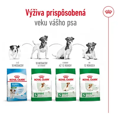Royal Canin krmivo pre psov podľa veku: Puppy 2–10 mesiacov, Mini Adult 10 mesiacov–8 rokov, Mini Adult 8+ 8–12 rokov, Mini Ageing 12+ po 12 rokoch. Výživa prispôsobená veku psa.