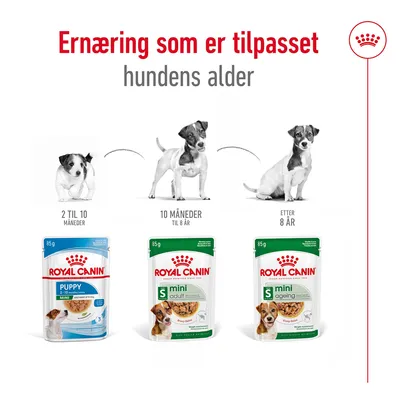 Royal Canin Mini Adult i saus