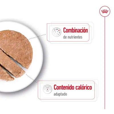 Comida húmeda en rodajas sobre plato blanco. Texto: 'Combinación de nutrientes' y 'Contenido calórico adaptado'.