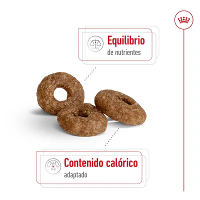 Pienso en forma de anillo con texto: Equilibrio de nutrientes. Contenido calórico adaptado.