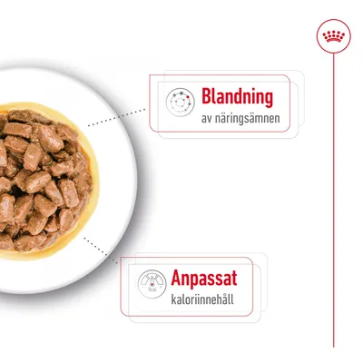 Tallrik med våtfoder. Text: Blandning av näringsämnen, Anpassat kaloriinnehåll.