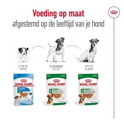 Royal Canin natvoer: Puppy 2–10 maanden, Mini Adult 10 maanden–8 jaar, Mini Ageing ouder dan 8 jaar. Voeding op maat afgestemd op de leeftijd van je hond.