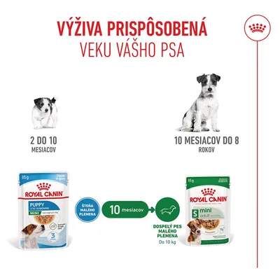 Royal Canin Mini Puppy v omáčke