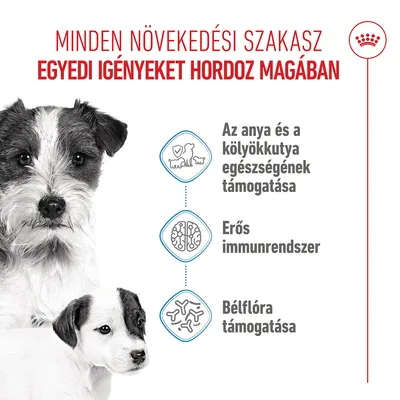 Royal Canin Mini Starter Mother & Babydog
