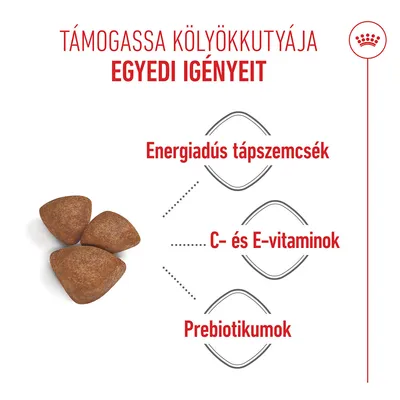 Royal Canin Mini Starter Mother & Babydog