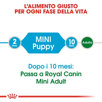 L'alimento giusto per ogni fase della vita. MINI Puppy da 2 a 10 mesi. Dopo i 10 mesi: passa a Royal Canin Mini Adult.