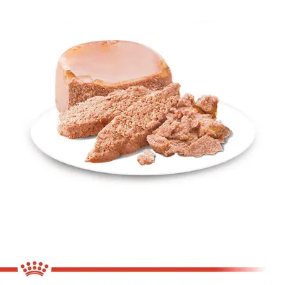 Пастет от месо, сервиран на бяла чиния, показващ цял и нарязан продукт без видима опаковка или маркировка.