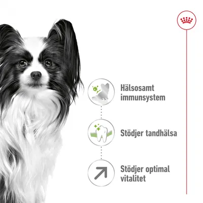 Text: Hälsosamt immunsystem, Stödjer tandhälsa, Stödjer optimal vitalitet. Bild på svartvit hund till vänster och Royal Canin-symbol uppe till höger.