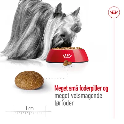 Hund spiser tørfoder fra rød skål med krone-symbol. Foderpille vist tæt på, diameter ca. 1 cm. Tekst: Meget små foderpiller og meget velsmagende tørfoder.