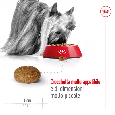 Cane a pelo lungo mangia da ciotola rossa con crocchette Royal Canin; dettaglio crocchetta di circa 1 cm. Testo: Crocchetta molto appetibile e di dimensioni molto piccole.