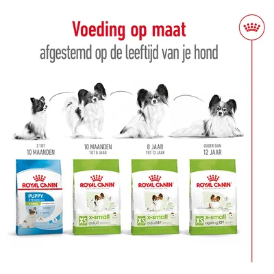 Royal Canin voeding per levensfase: Puppy 2–10 maanden, X-Small Adult tot 8 jaar, X-Small Adult 8+ tot 12 jaar, X-Small Ageing 12+ ouder dan 12 jaar. Vier verpakkingen zichtbaar.