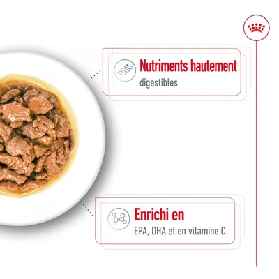 Assiette de nourriture humide en sauce, texte visible : Nutriments hautement digestibles, Enrichi en EPA, DHA et en vitamine C.