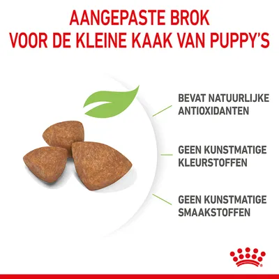 Aangepaste brok voor de kleine kaak van puppy’s. Bevat natuurlijke antioxidanten, geen kunstmatige kleurstoffen, geen kunstmatige smaakstoffen.