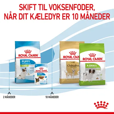 Royal Canin Puppy 2–10 months og Adult Chihuahua, X-Small Adult. Tekst: Skift til voksenfoder, når dit kæledyr er 10 måneder. Viser overgang fra hvalpe- til voksenfoder.