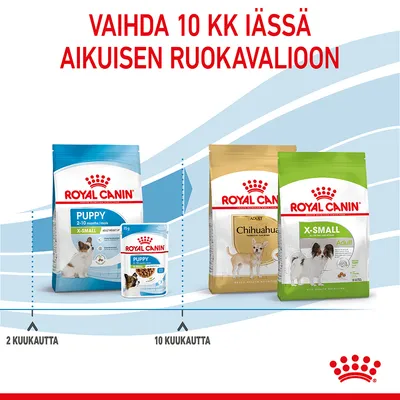 Royal Canin Puppy X-Small 2–10 kuukautta, Royal Canin Adult Chihuahua ja X-Small Adult -koiranruokapakkaukset. Teksti: Vaihda 10 kk iässä aikuisen ruokavalioon.