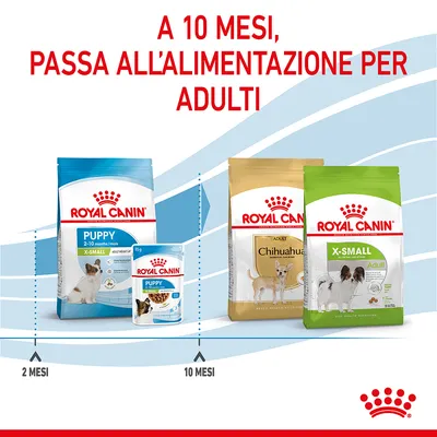 A 10 mesi, passa all’alimentazione per adulti. Royal Canin Puppy X-Small da 2 a 10 mesi, poi Royal Canin Adult Chihuahua e X-Small Adult. Indicazioni: 2 mesi, 10 mesi.