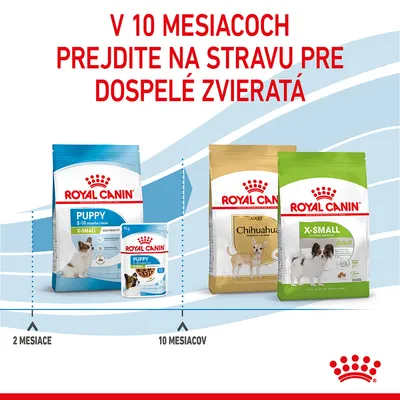 V 10 mesiacoch prejdite na stravu pre dospelé zvieratá. Royal Canin Puppy X-Small od 2 do 10 mesiacov, potom Royal Canin Chihuahua Adult a X-Small Adult. Zobrazené balenia krmiva.