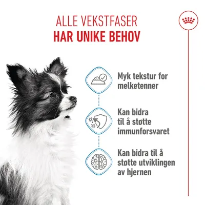 Royal Canin X-Small Puppy i saus Royal Canin X-Small Puppy i saus