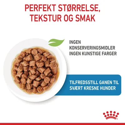 Royal Canin X-Small Puppy i saus