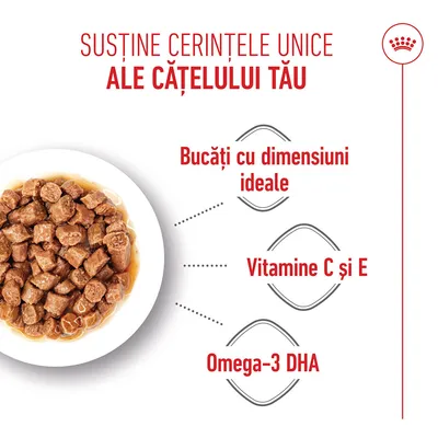 Castron cu bucăți de carne în sos. Text: Bucăți de dimensiune ideală, vitamină C și E, Omega-3 DHA. Castron cu bucăți de carne în sos. Text: Bucăți de dimensiune ideală, vitamină C și E, Omega-3 DHA.
