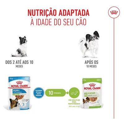Royal Canin X-Small Puppy em molho