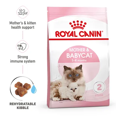 Product features: mother’s and kitten health support, strong immune system, rehydratable kibble. Packaging shows food for mother and babycat aged 1-4 months, stage 2.