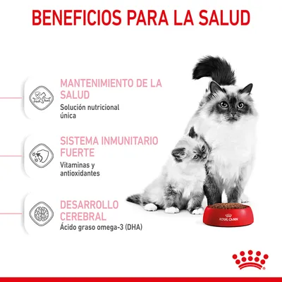 Beneficios para la salud: mantenimiento de la salud, sistema inmunitario fuerte y desarrollo cerebral. Royal Canin. Solución nutricional única, vitaminas, antioxidantes, DHA.