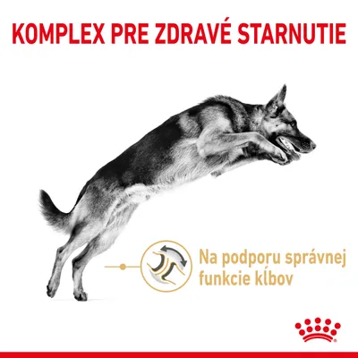 Komplex pre zdravé starnutie. Na podporu správnej funkcie kĺbov. Obrázok psa v skoku, logo Royal Canin.