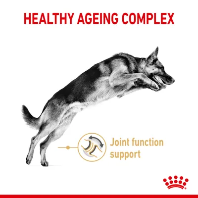 Healthy Ageing Complex with joint function support, shown by a leaping dog and an icon highlighting joint care benefits.