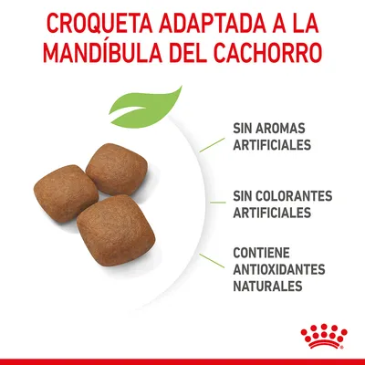 Croqueta adaptada a la mandíbula del cachorro. Sin aromas artificiales, sin colorantes artificiales, contiene antioxidantes naturales.