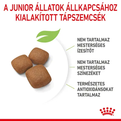 A junior állatok állkapcsához kialakított tápszemcsék. Nem tartalmaz mesterséges ízesítőt, nem tartalmaz mesterséges színezéket, természetes antioxidánsokat tartalmaz.