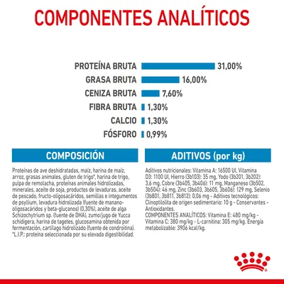 Componentes analíticos: proteína bruta 31 %, grasa bruta 16 %, ceniza bruta 7,6 %, fibra bruta 1,3 %, calcio 1,3 %, fósforo 0,99 %. Composición y aditivos detallados visibles.