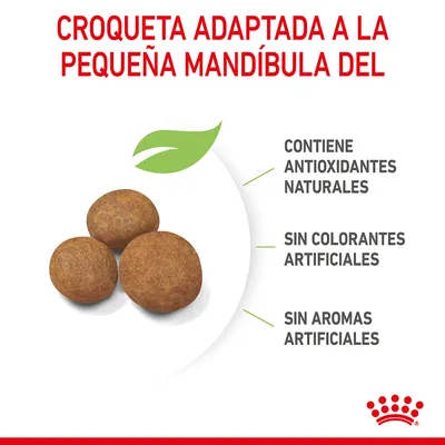 Croqueta adaptada a la pequeña mandíbula. Contiene antioxidantes naturales, sin colorantes artificiales, sin aromas artificiales. Tres croquetas marrones visibles.