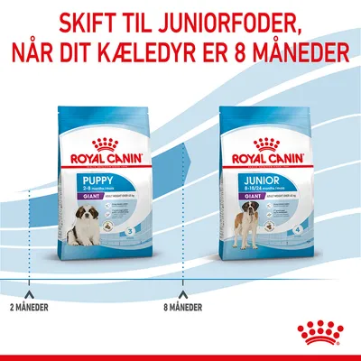 Royal Canin Puppy Giant 2–8 months og Royal Canin Junior Giant 8–18/24 months. Tekst: Skift til juniorfoder, når dit kæledyr er 8 måneder. Viser overgang ved 8 måneder.