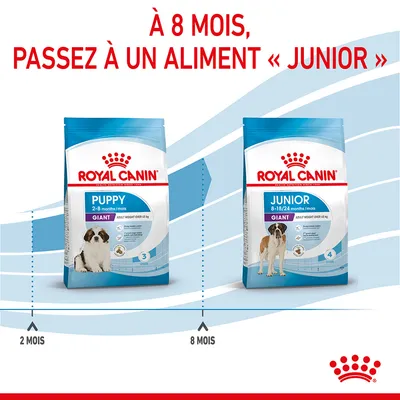 À 8 mois, passez à un aliment « Junior ». Sacs Royal Canin Puppy Giant 2–8 mois et Junior Giant 8–18/24 mois pour chiens de plus de 45 kg visibles.