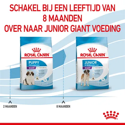Royal Canin Puppy Giant 2–8 maanden en Junior Giant 8–18/24 maanden verpakkingen. Advies: schakel bij 8 maanden over naar Junior Giant voeding.