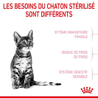 Texte : Les besoins du chaton stérilisé sont différents. Système immunitaire fragile, risque de prise de poids, système digestif sensible. Marque Royal Canin visible.