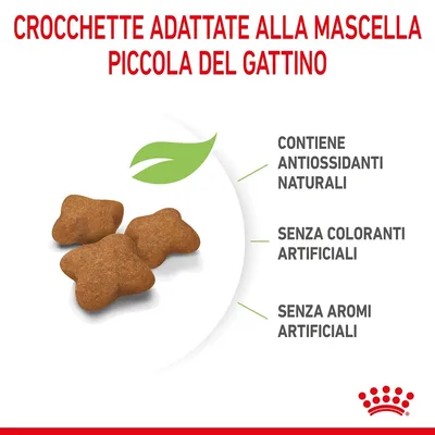 Crocchette adattate alla mascella piccola del gattino. Contiene antiossidanti naturali, senza coloranti artificiali, senza aromi artificiali.